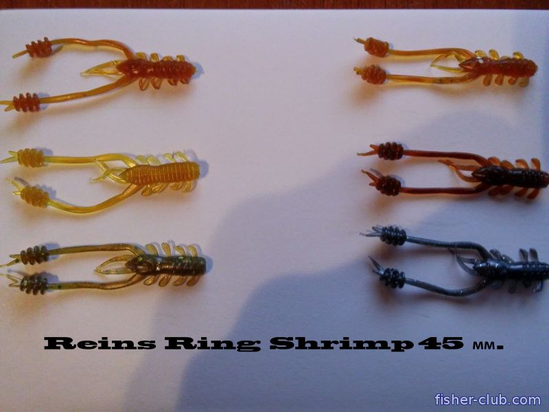fisher-club.com: Reins Ring Shrimp