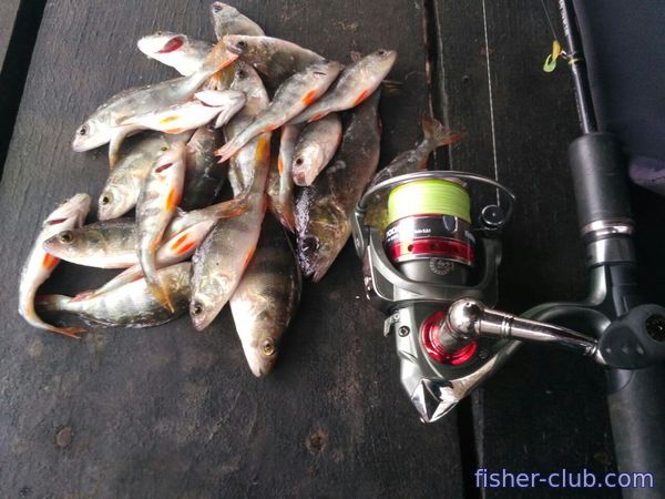 fisher-club.com