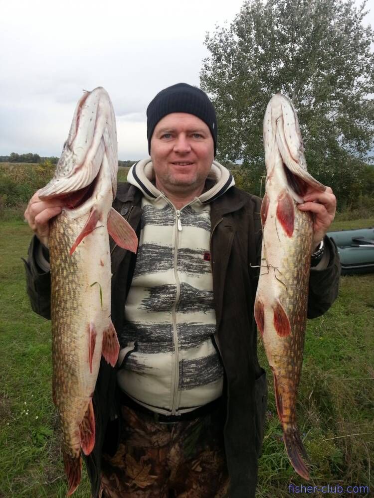 Юра Канцлер